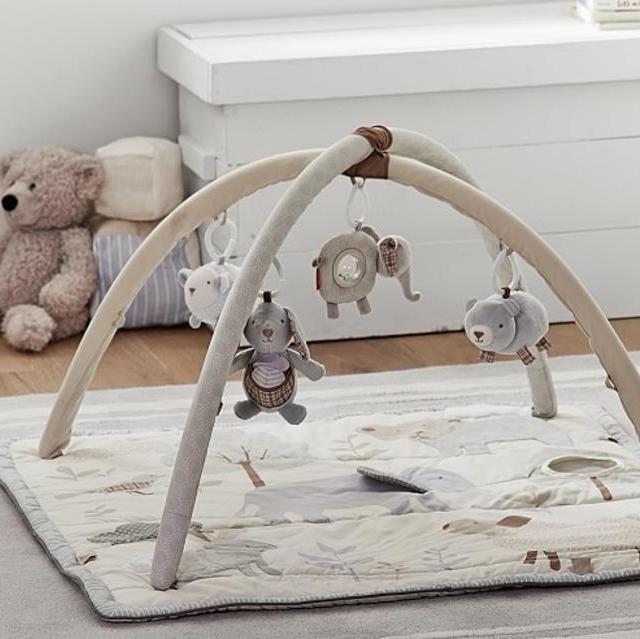 Animal Friends Classic Activity Gym