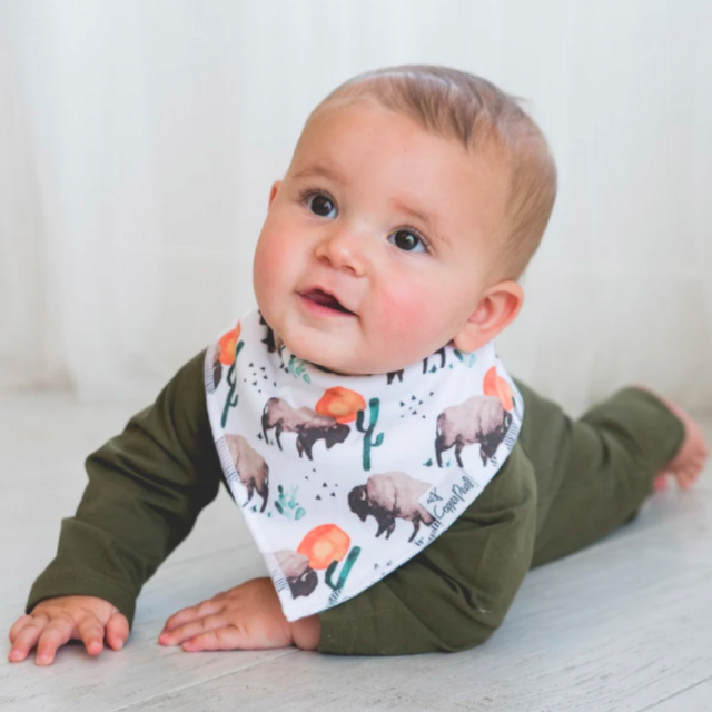Baby Bandana Bibs