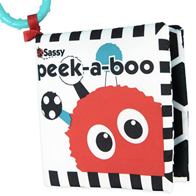 Peek-a-Boo Activity Book