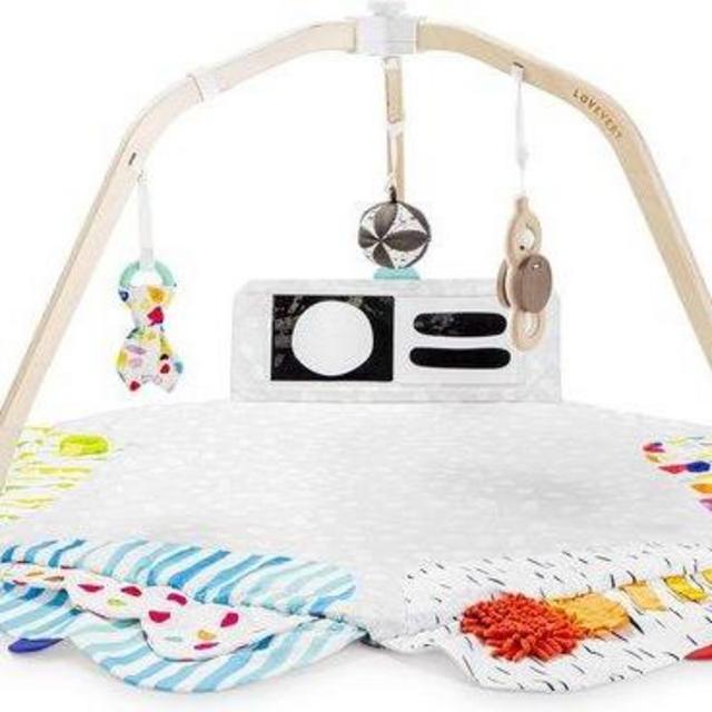 LoveEvery Montessori Play Gym