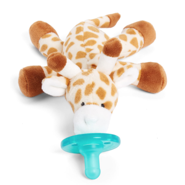 Pacifier Toy