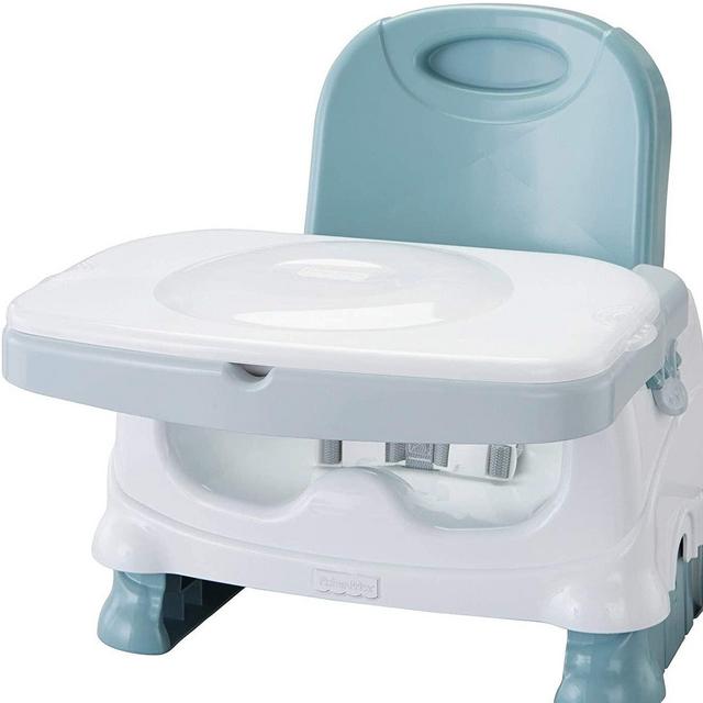Fisher Price Booster Seat with Tray