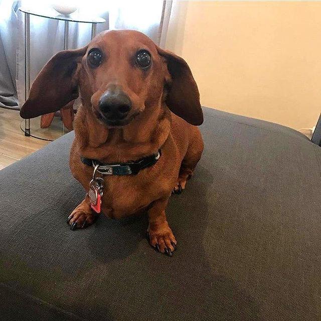 Captain's Honeymoon Fund