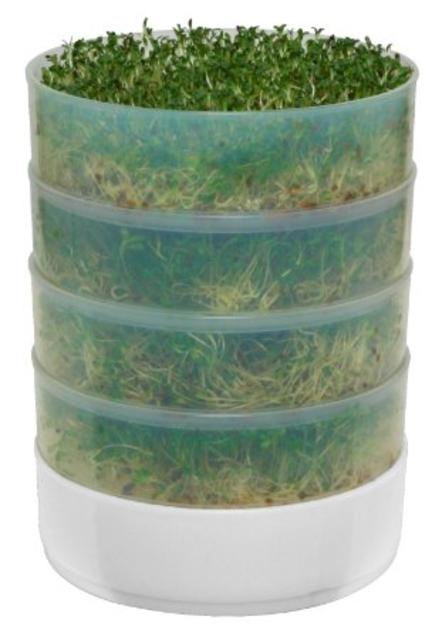 Victorio VKP1014  4-Tray Kitchen Seed Sprouter