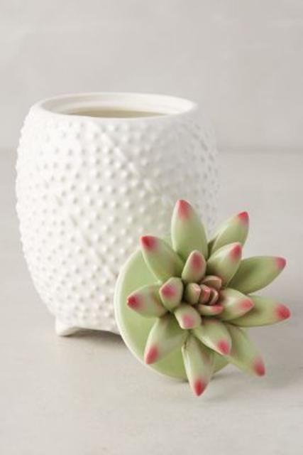 Succulent Candle