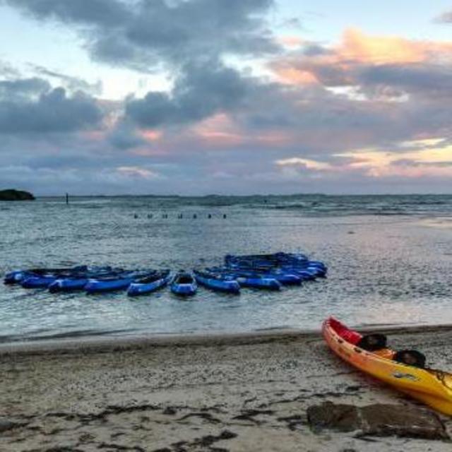 Bioluminescent Kayak Adventure in Caribbean