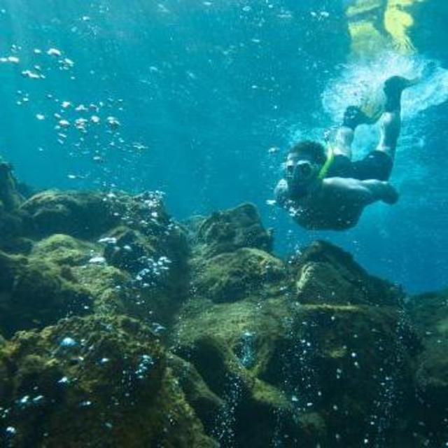 Champagne Reef Snorkel (Caribbean Trip)