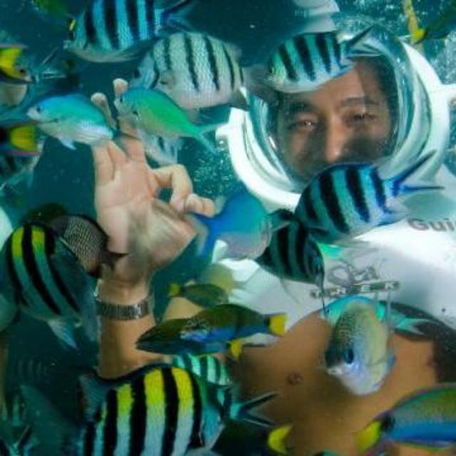 Sea Trek Helmet Diving at Pigeon Island (Caribbean Trip)