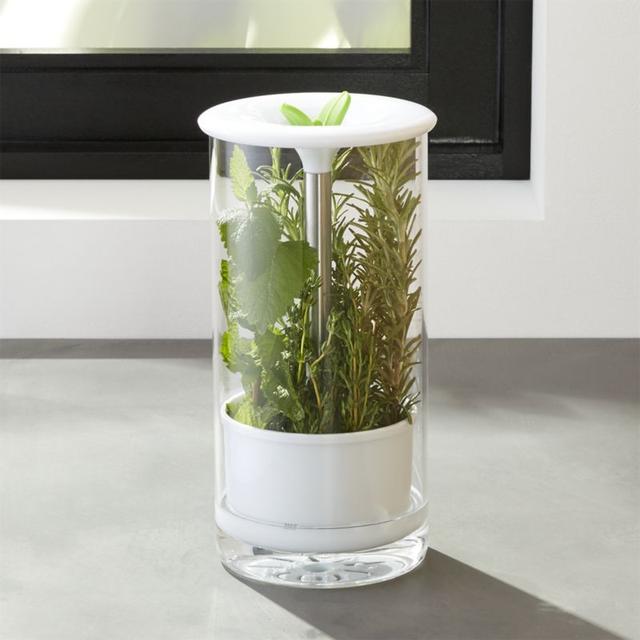 Glass Herb Keeper