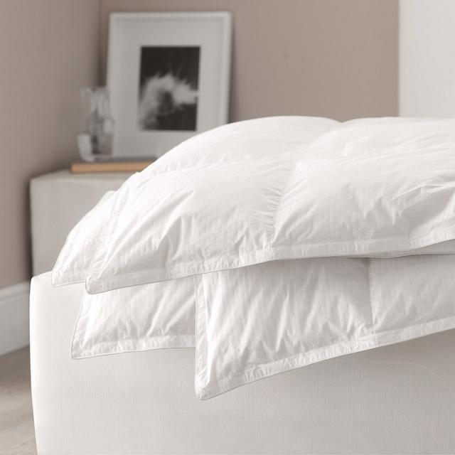 Queen Goose Down - Medium