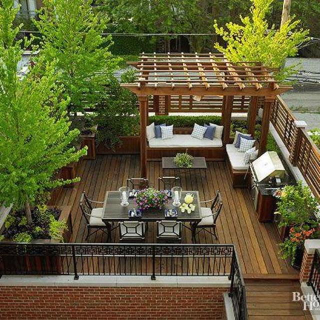 Plants, Landscaping, and Tools!