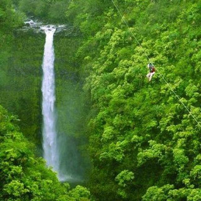 Zip Lining In Hawaii