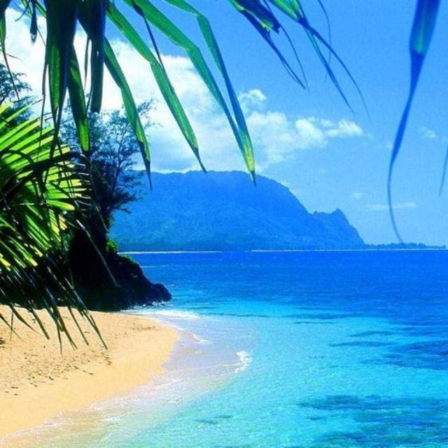 Kauai Rental Car Fund