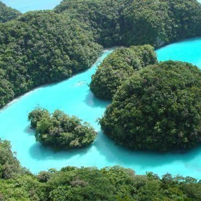 Milky Way Lagoon Snorkel Tour