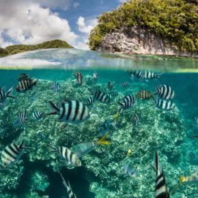 Ngeanges Island Coral Cave Snorkel