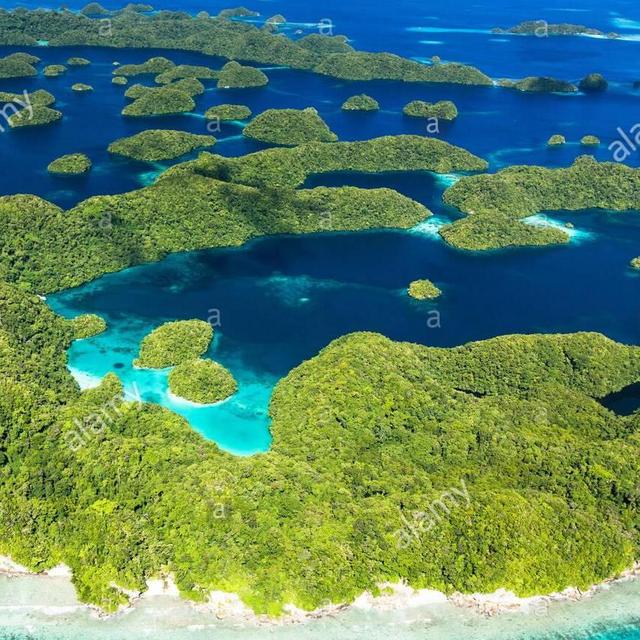 Ngchus Cove Lunch on the Beach