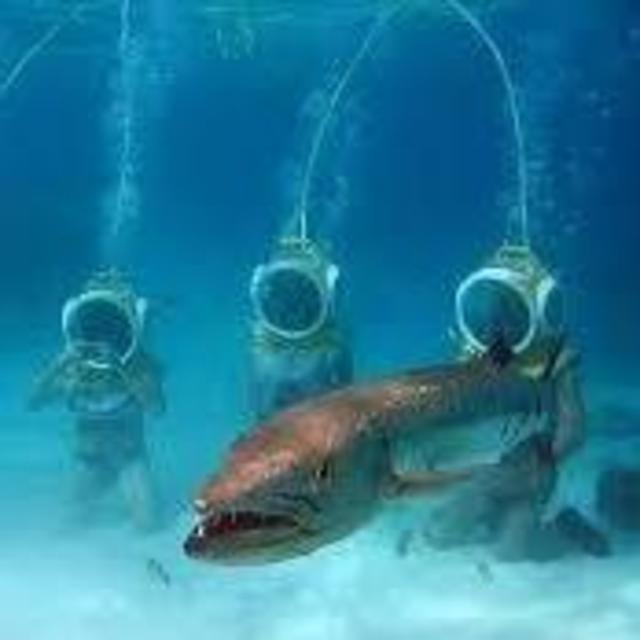Helmet Diving in Bora Bora