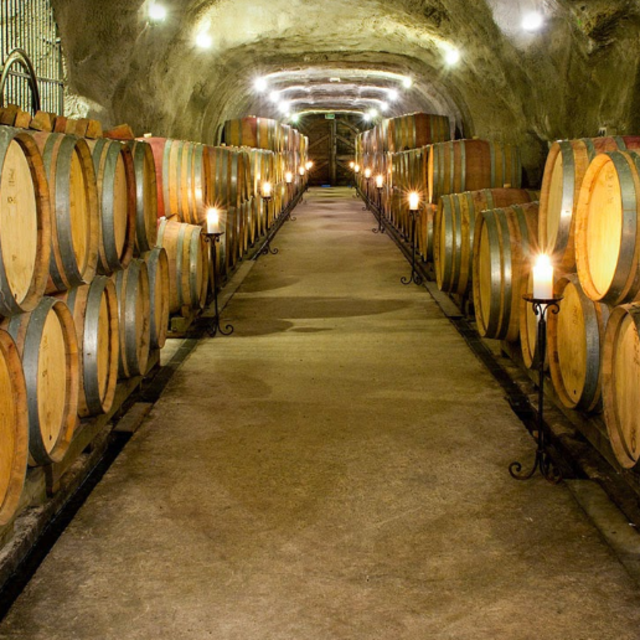 Full Day Wine Tour in Queenstown, New Zealand