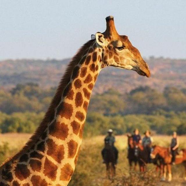Visit Serengeti National Park