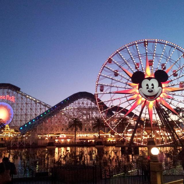 A Day In DisneyLand