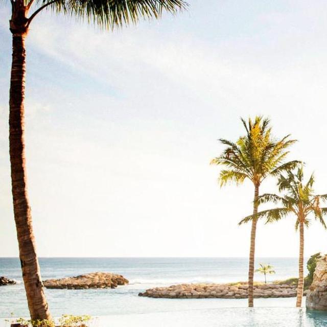 Honeymoon Fund - Trip to Hawaii