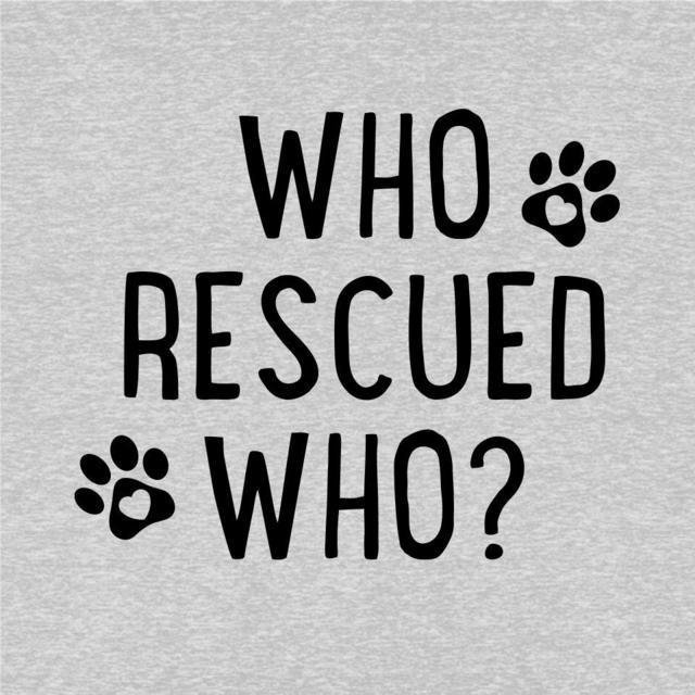 Donation to Sammy's Strays Animal Rescue