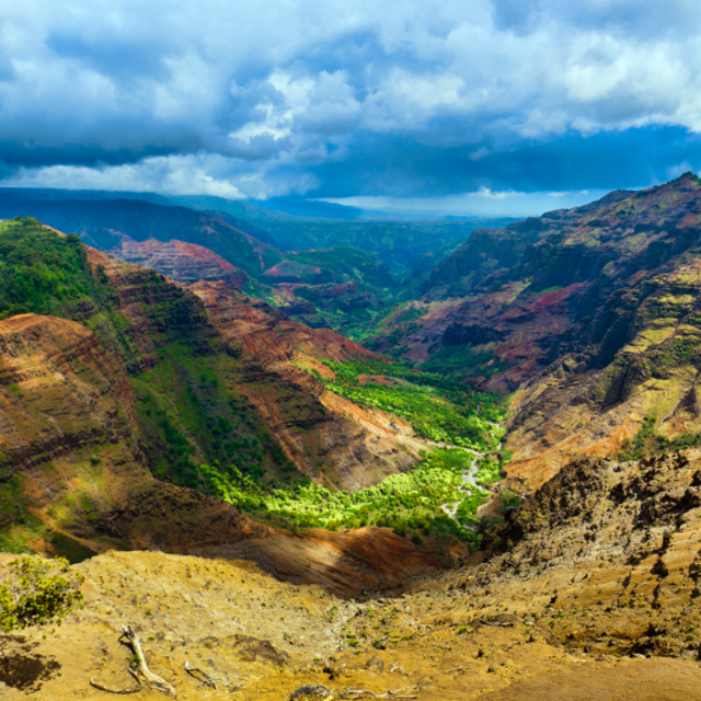 Waimea Canyon Tour