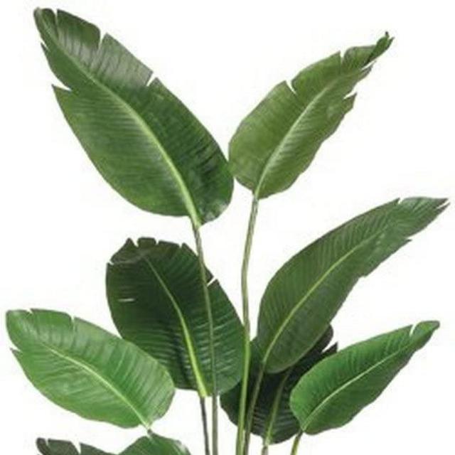 5 Foot Artificial Silk Bird of Paradise Palm Tree Potted Plant