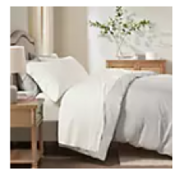 Sleep Philosophy Rayon Made From Bamboo Queen Sheet Set in Ivory