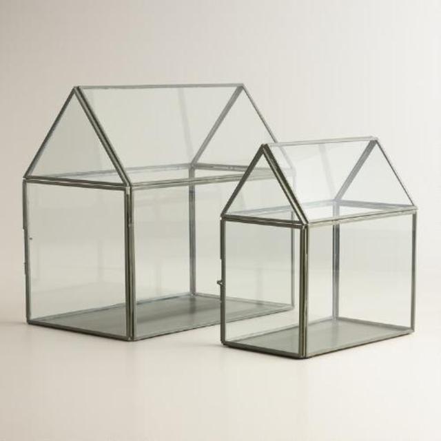 Glass House Terrariums