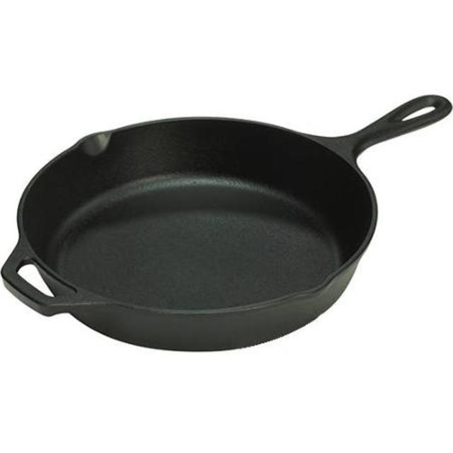 Lodge Logic 10-1/4" Cast Iron Skillet