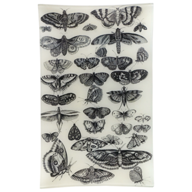 Insect Tab VII