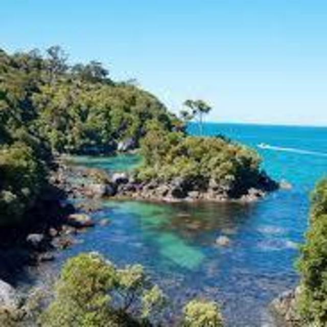 Snorkeling on Stewart Island