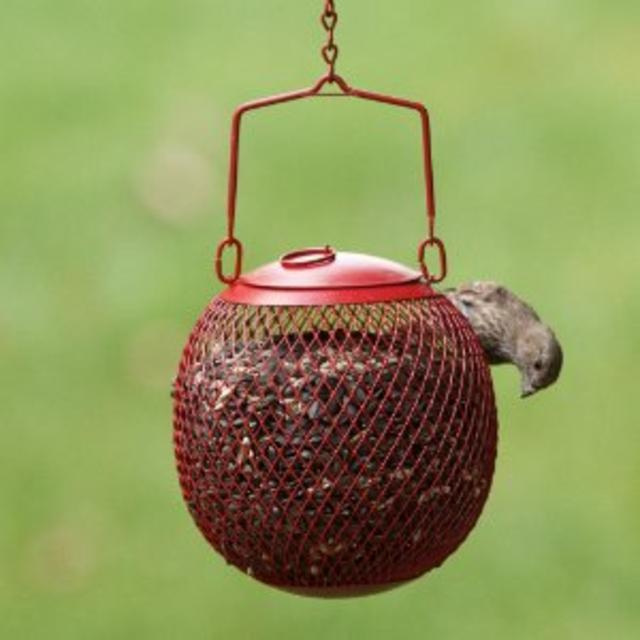 No/No Red Seed Ball Wild Bird Feeder
