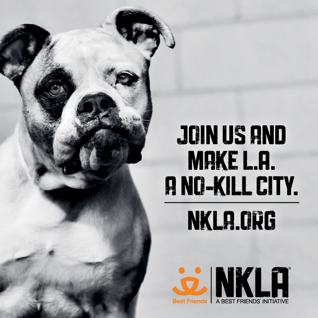 NKLA Donation