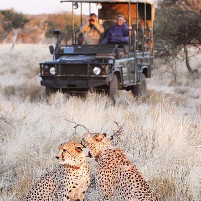 Erindi Game Drive
