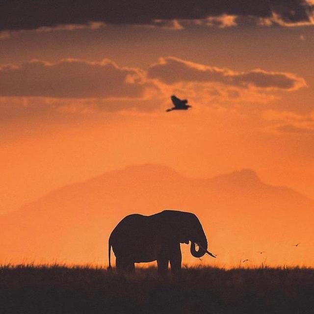 Etosha National Park Pass