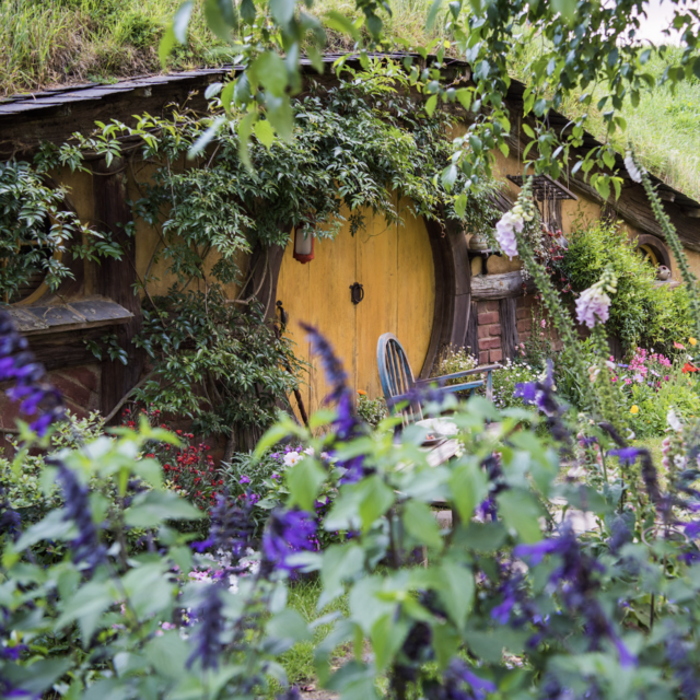 Honeymoon Excursion: Hobbiton / Lord of the Rings Tour (New Zealand)