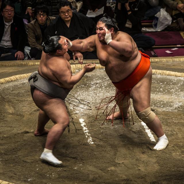 Sumo wrestling tournament or visit to a sumo stable