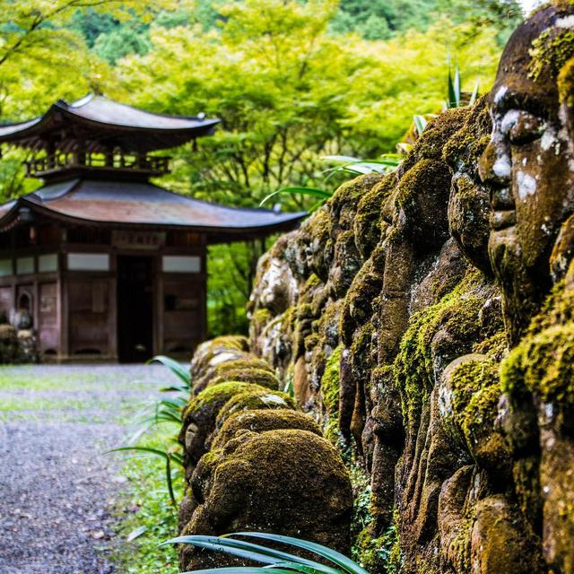 Kyoto Walking Tour