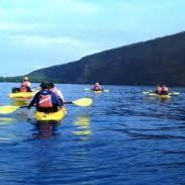 Honeymoon Kayaking in Kealakekua Bay