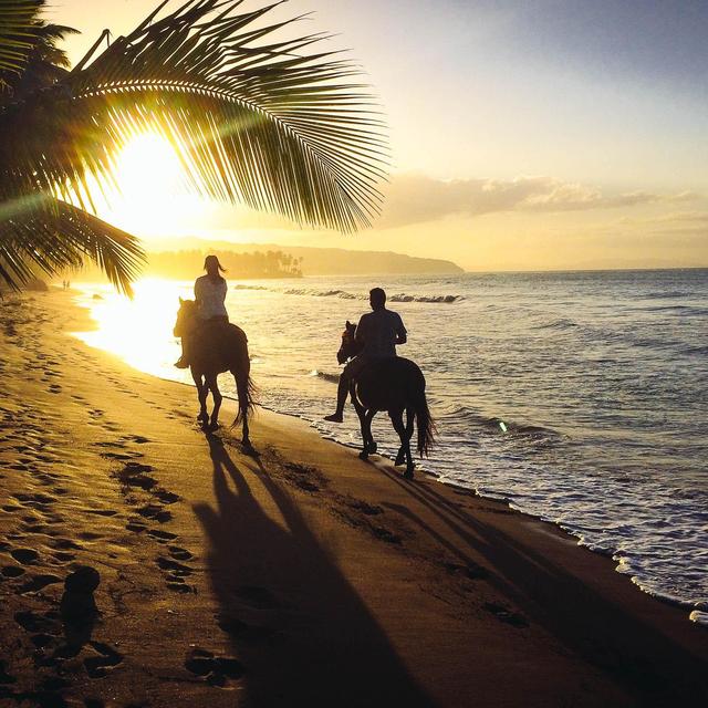 Horseback Riding on Martinique