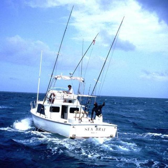 Deep Sea Fishing near Martinique