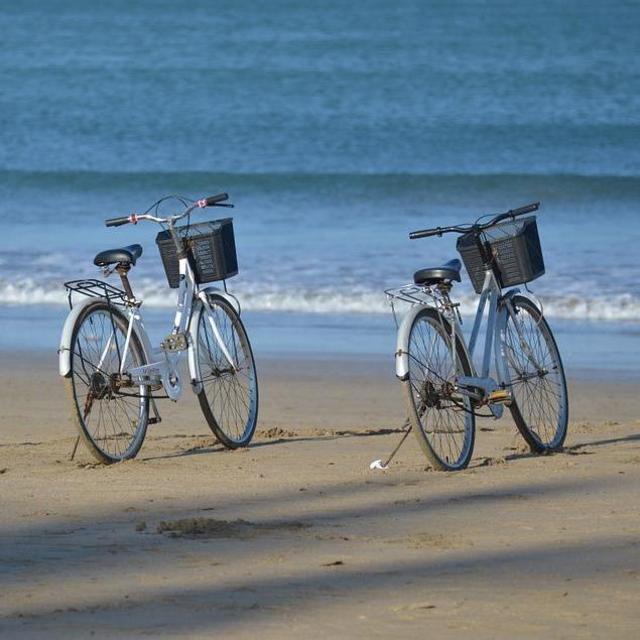 Bicycle Rental on Martinique