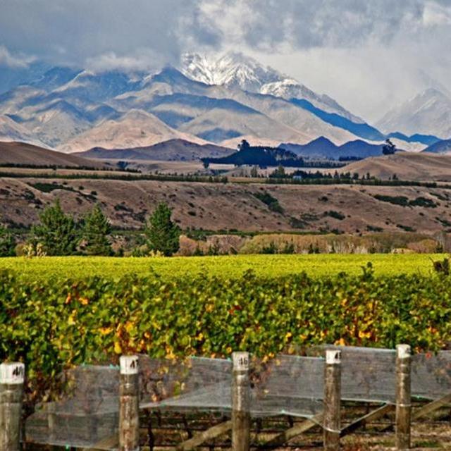New Zealand Wine Tour