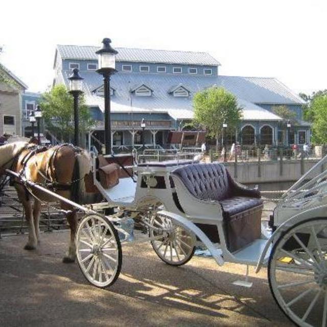 Disney Carriage Ride