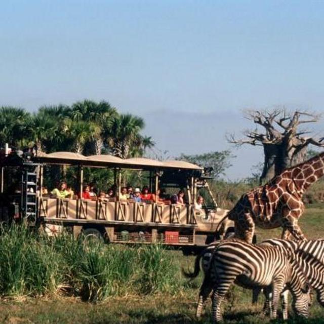 Disney Wild Africa Trek