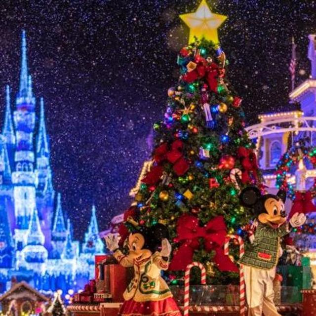 Mickey’s Very Merry Christmas Party