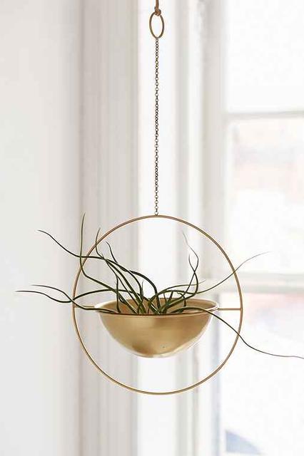 Assembly Home Eos Hanging Planter