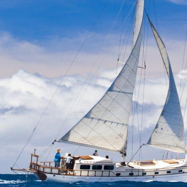 Private Schooner Charter